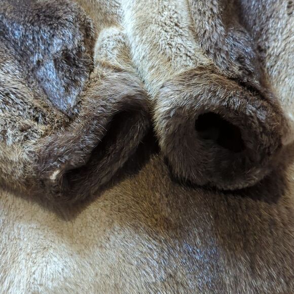 Sullivan Rollins Vintage Genuine Fur Collared Cape Style Coat Womens Size Medium - Picture 8 of 12